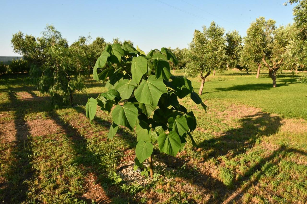 Tenuta Corano Nardo Villa Eksteriør billede